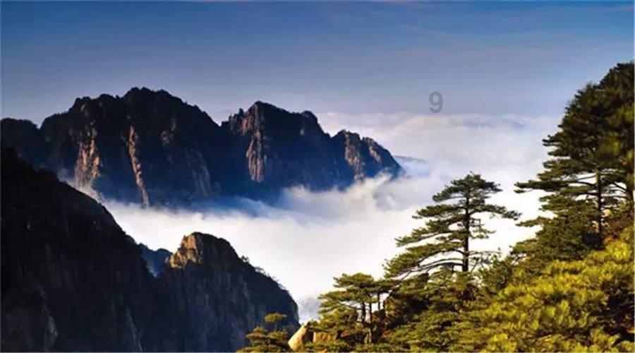 盛京银行“盛链贷”：专门服务“链”上小企业