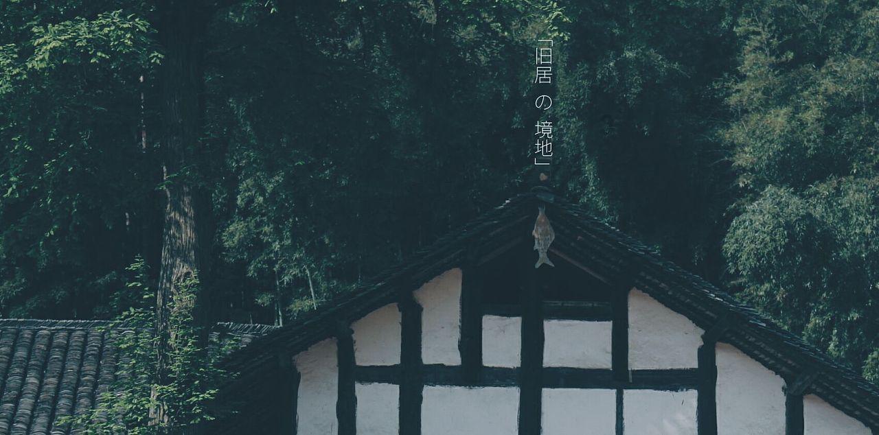 卡通骆驼救援