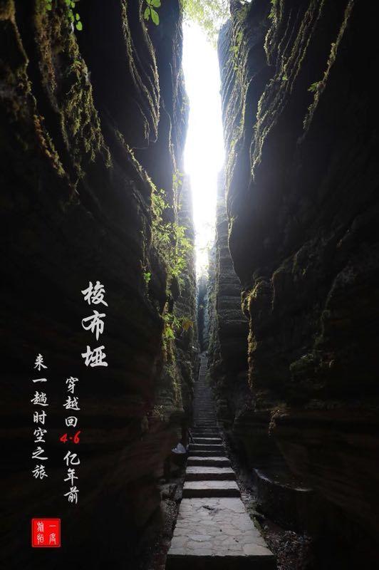 88影视
