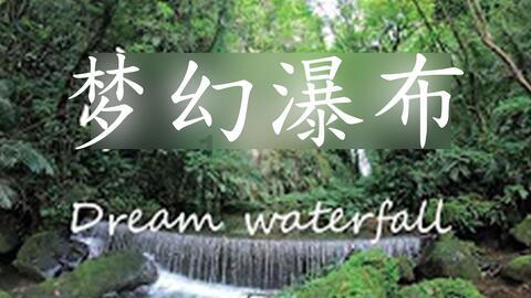逃离潮湿的房屋