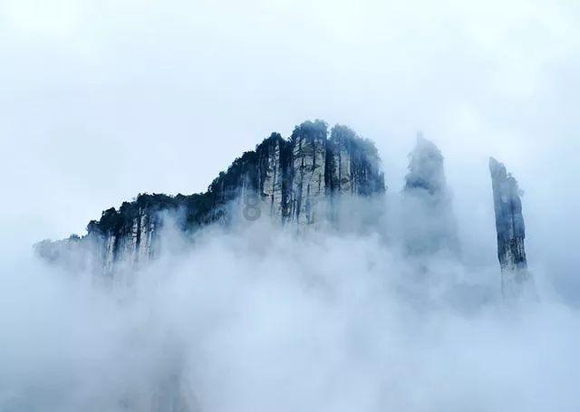 杜甫喜欢李白,李白爱着孟浩然,孟浩然倾心于王维,王维又爱着谁