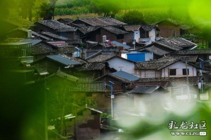 蓝色小球入袋