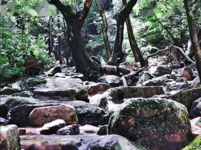 表情大乱斗