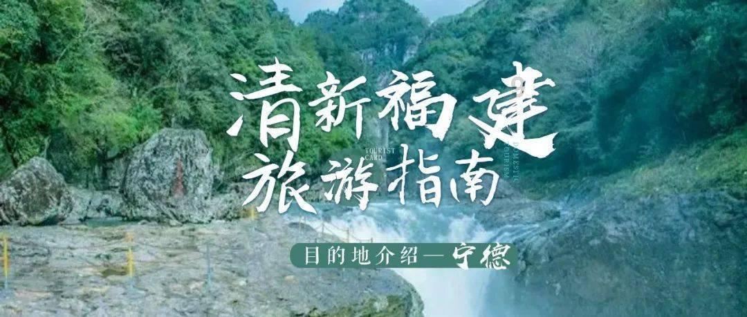 美国运通(AXP.US)上涨2.5%,公