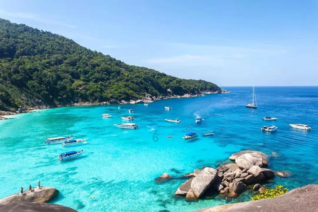 西藏旅游:去年净利润扭亏为盈,核心景区游客接待量恢复至2019年同期水平