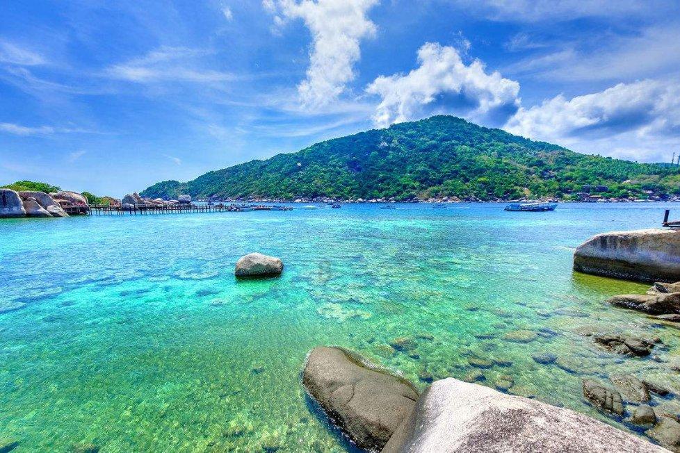 沪江开心词场