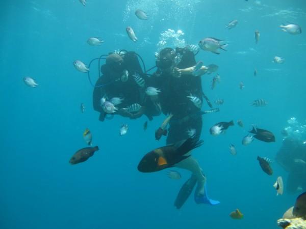 海贼王伟大冒险2