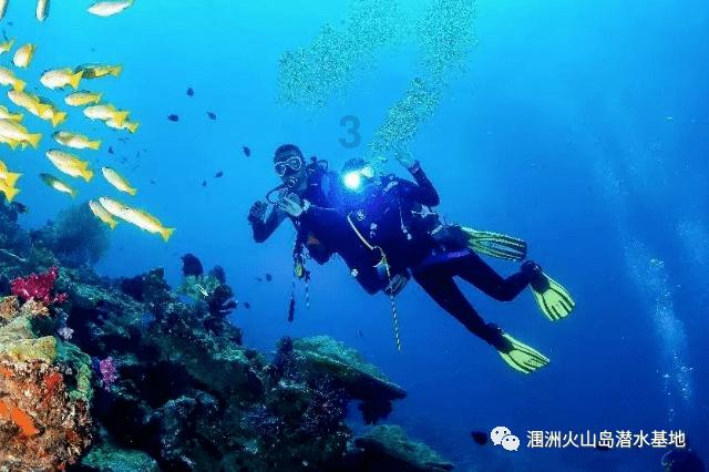全民烧脑3去广告版