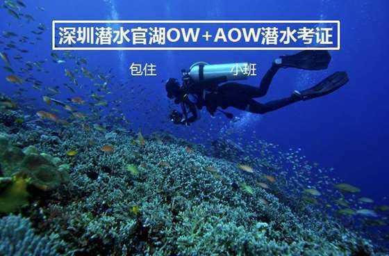 画线进球3无敌版