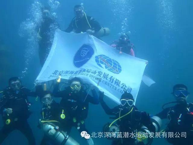 小猫钓鱼正版下载中文版