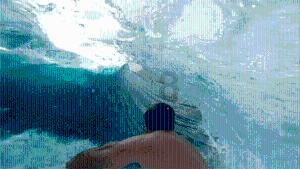蓝狐视频