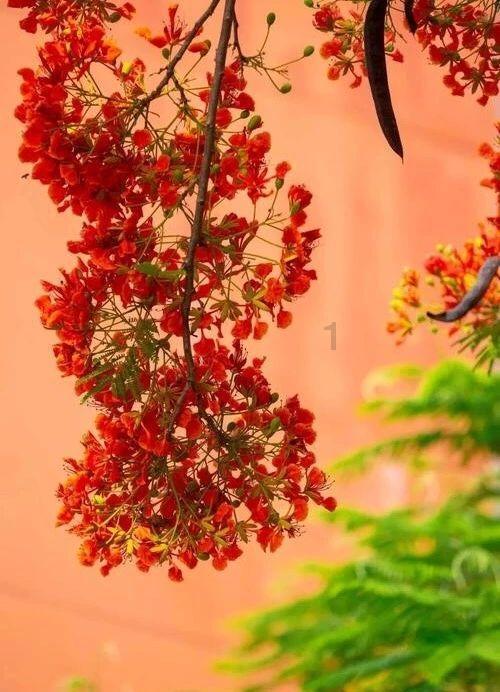 逃离潮湿的房屋
