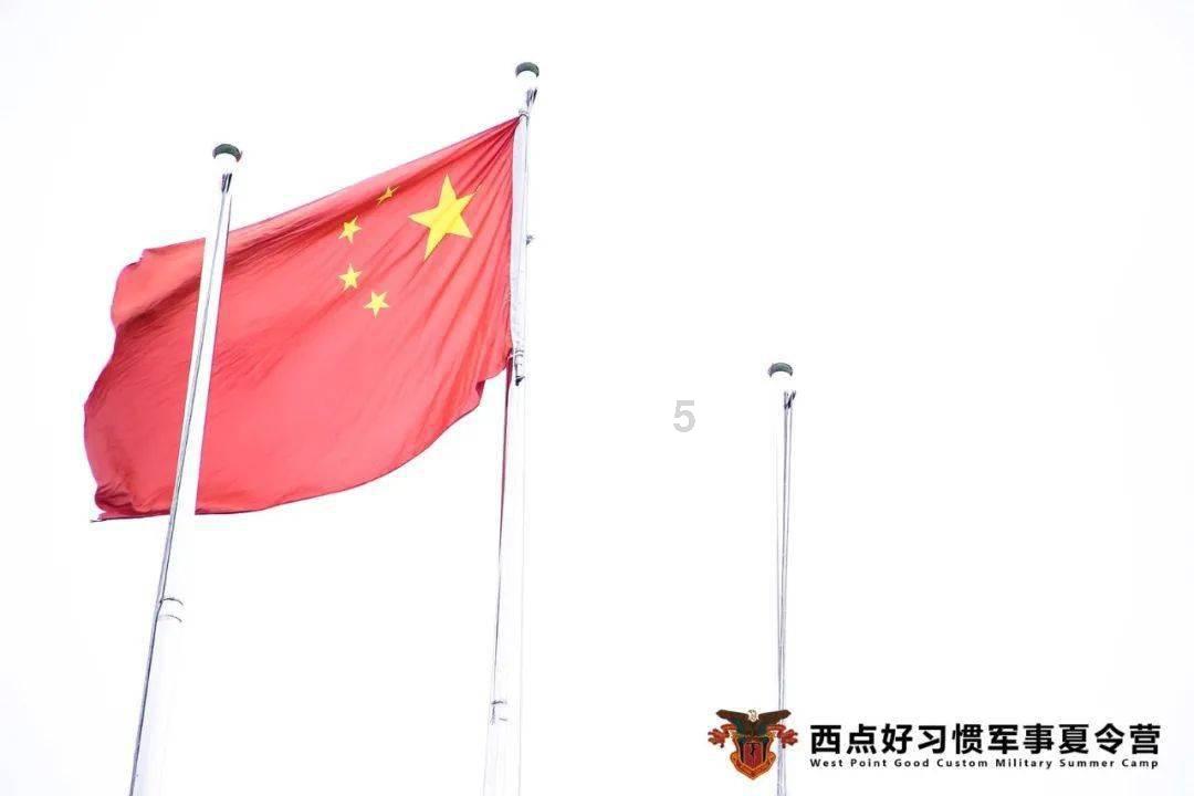 青少年对手机的看法？游戏画面
