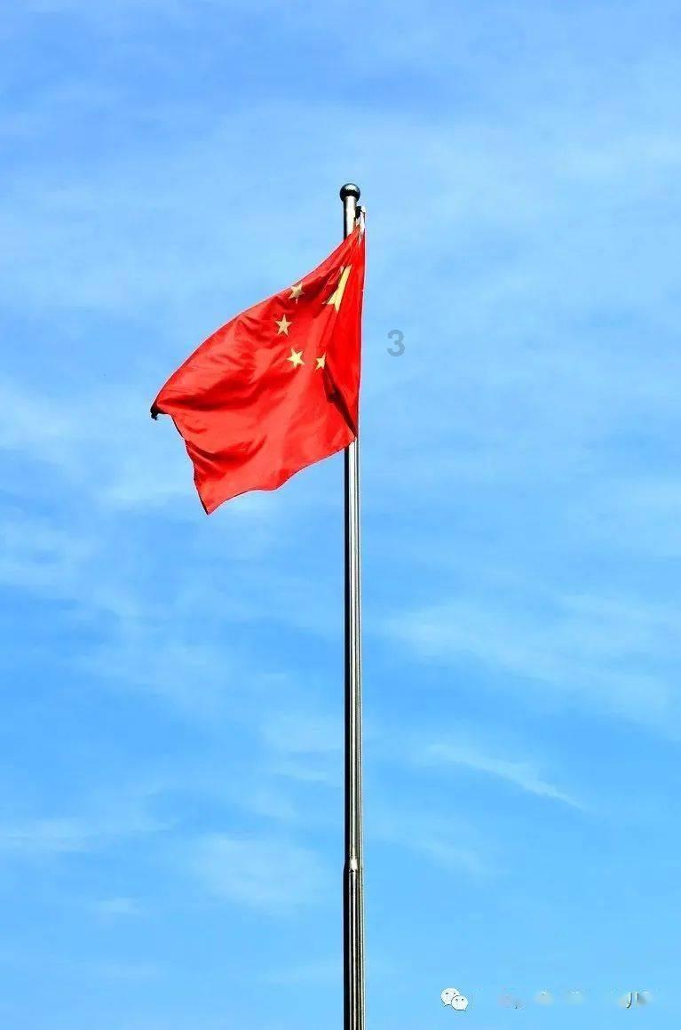 公主的阅读区