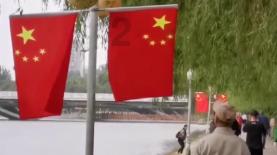 逃离棕榈树森林