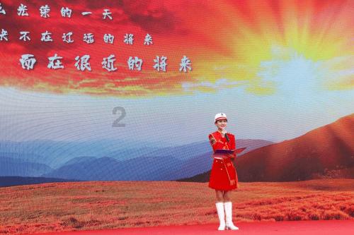 袋鼠兄弟2