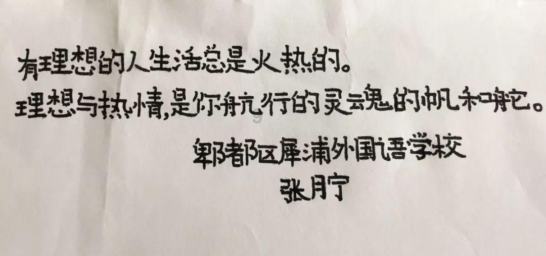 小猫钓鱼正版下载中文版