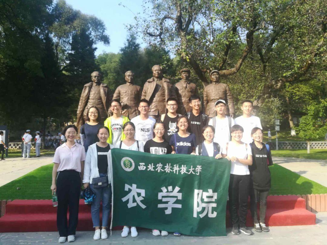 这款生存MMO真头铁，硬与《幻兽帕鲁》抢玩家，竟也没输？