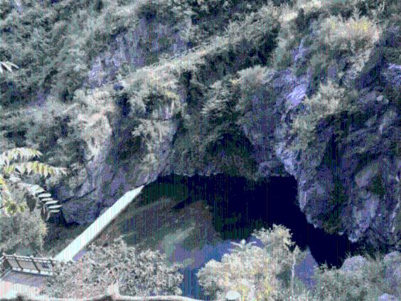 新春走基层｜自建农家书屋照亮“精神家园”