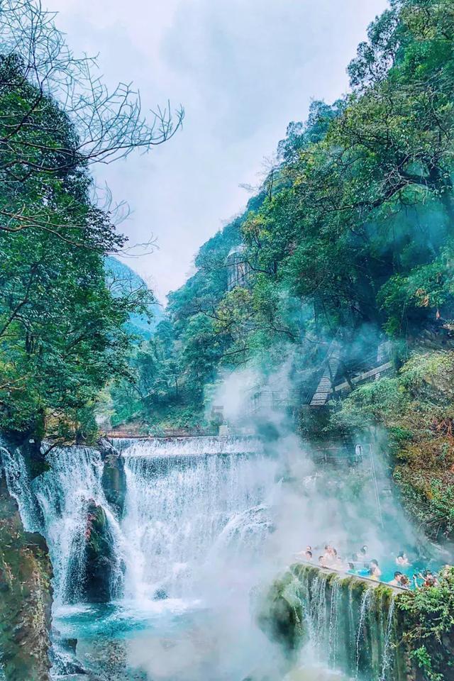 救援小白狼