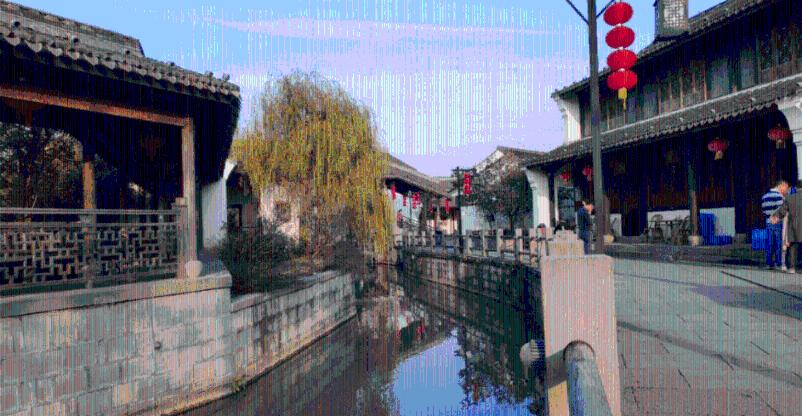 拯救蝙蝠家族