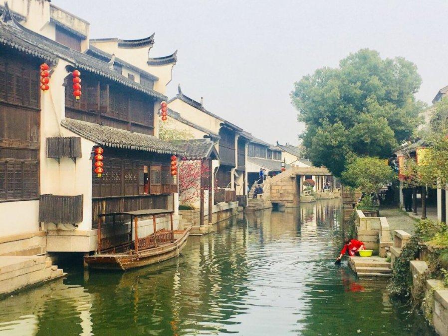 植物大战僵尸14
