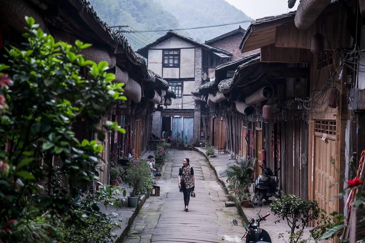 小猫钓鱼正版下载中文版