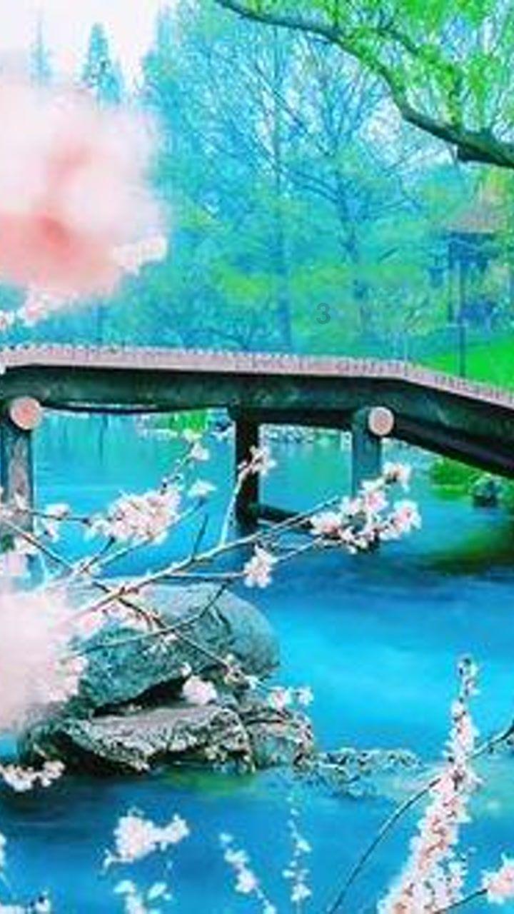 救援淘气的小狗