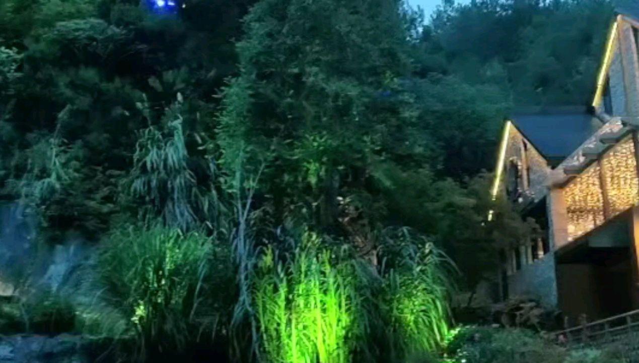 高湖镇新旺村：“小菌棒”推开“致富门”